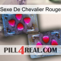 Red Knight Sex 15